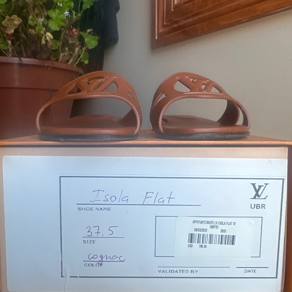 Louis Vuitton slides